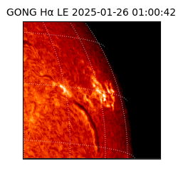 gong - 2025-01-26T01:00:42