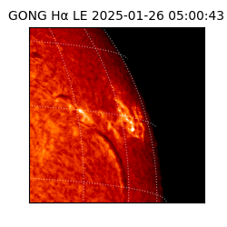 gong - 2025-01-26T05:00:43