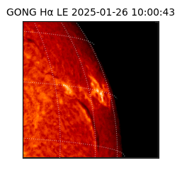 gong - 2025-01-26T10:00:43