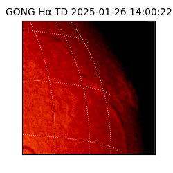 gong - 2025-01-26T14:00:22