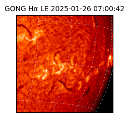 gong - 2025-01-26T07:00:42