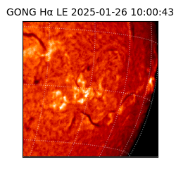gong - 2025-01-26T10:00:43