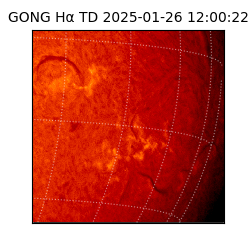 gong - 2025-01-26T12:00:22