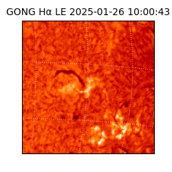 gong - 2025-01-26T10:00:43