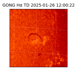 gong - 2025-01-26T12:00:22