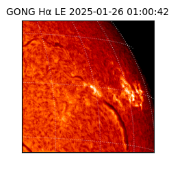 gong - 2025-01-26T01:00:42