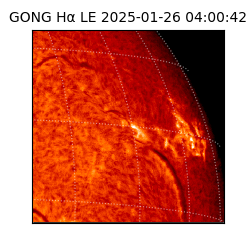gong - 2025-01-26T04:00:42