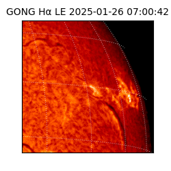 gong - 2025-01-26T07:00:42