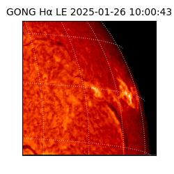 gong - 2025-01-26T10:00:43