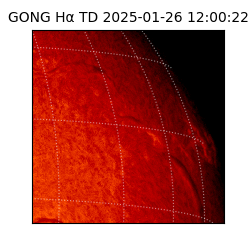 gong - 2025-01-26T12:00:22