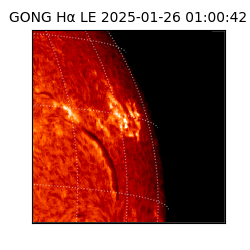gong - 2025-01-26T01:00:42