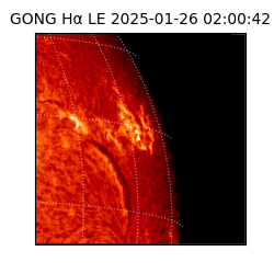 gong - 2025-01-26T02:00:42