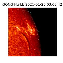 gong - 2025-01-26T03:00:42