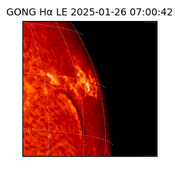 gong - 2025-01-26T07:00:42