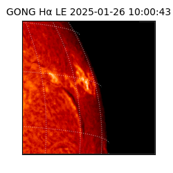 gong - 2025-01-26T10:00:43