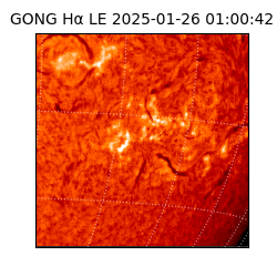 gong - 2025-01-26T01:00:42