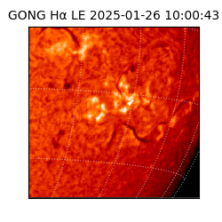 gong - 2025-01-26T10:00:43