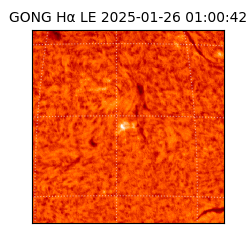 gong - 2025-01-26T01:00:42