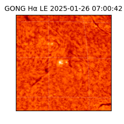 gong - 2025-01-26T07:00:42