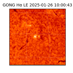 gong - 2025-01-26T10:00:43