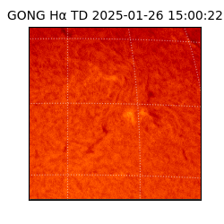 gong - 2025-01-26T15:00:22