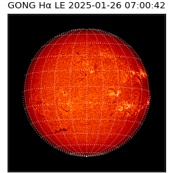 gong - 2025-01-26T07:00:42