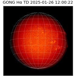 gong - 2025-01-26T12:00:22