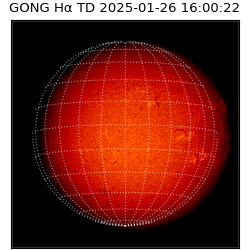 gong - 2025-01-26T16:00:22