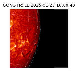 gong - 2025-01-27T10:00:43