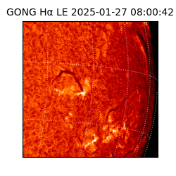 gong - 2025-01-27T08:00:42