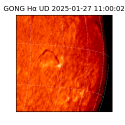 gong - 2025-01-27T11:00:02