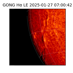 gong - 2025-01-27T07:00:42