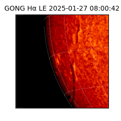 gong - 2025-01-27T08:00:42
