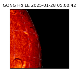 gong - 2025-01-28T05:00:42