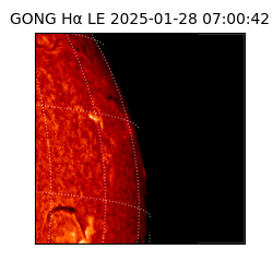 gong - 2025-01-28T07:00:42