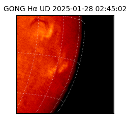gong - 2025-01-28T02:45:02