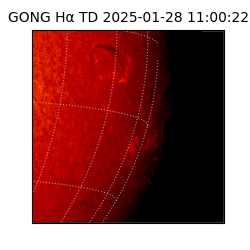 gong - 2025-01-28T11:00:22