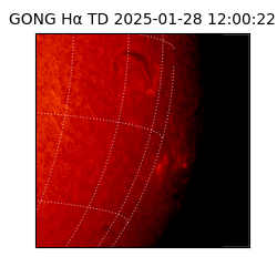 gong - 2025-01-28T12:00:22