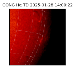 gong - 2025-01-28T14:00:22