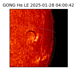 gong - 2025-01-28T04:00:42