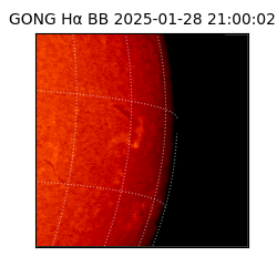 gong - 2025-01-28T21:00:02
