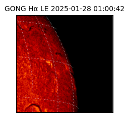 gong - 2025-01-28T01:00:42