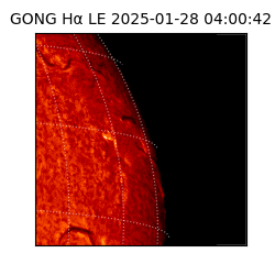 gong - 2025-01-28T04:00:42