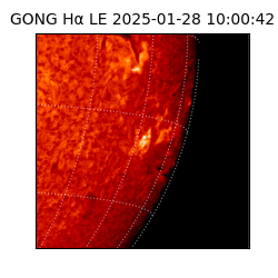 gong - 2025-01-28T10:00:42