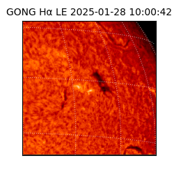 gong - 2025-01-28T10:00:42