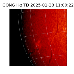 gong - 2025-01-28T11:00:22