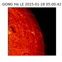 gong - 2025-01-28T05:00:42