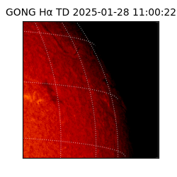 gong - 2025-01-28T11:00:22