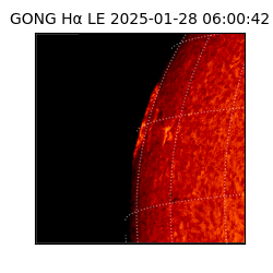 gong - 2025-01-28T06:00:42