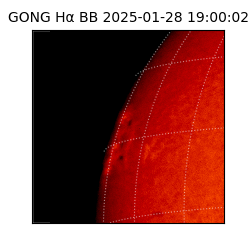 gong - 2025-01-28T19:00:02